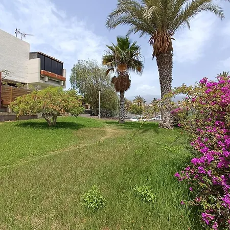 Daire Tenerife South Coast